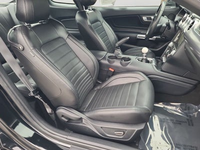 2019 Ford Mustang Bullitt