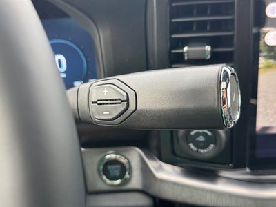 2026 Ford F-450SD Platinum DRW