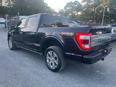 2023 Ford F-150 Platinum