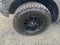 2017 Ford F-150 Raptor (Moonroof)