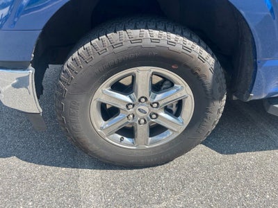 2025 Ford F-150 XLT 5.0 L V8