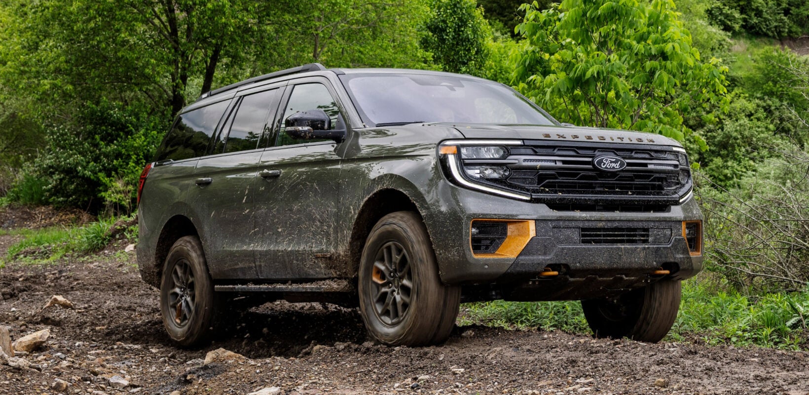 Ford Expedition Trims