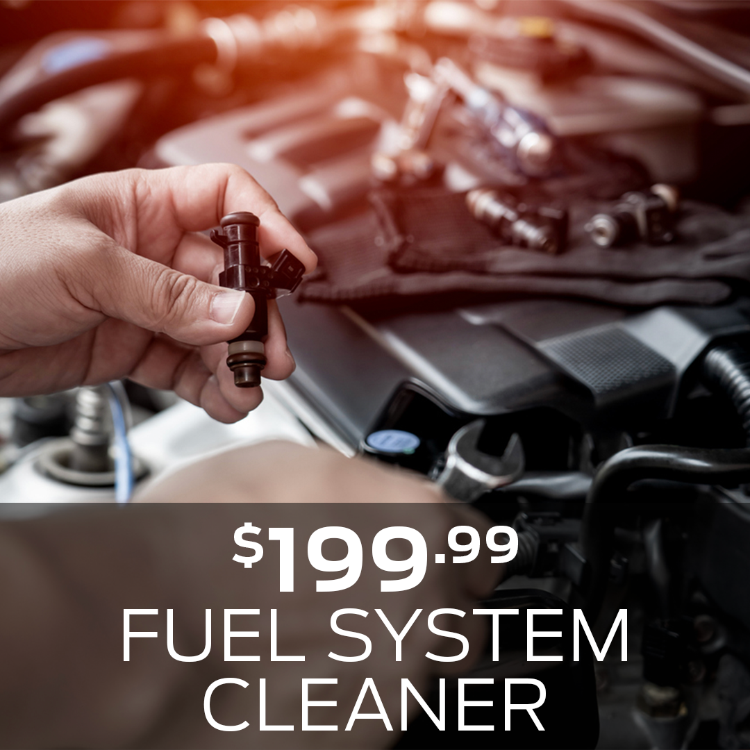 Fuel System Cleaner